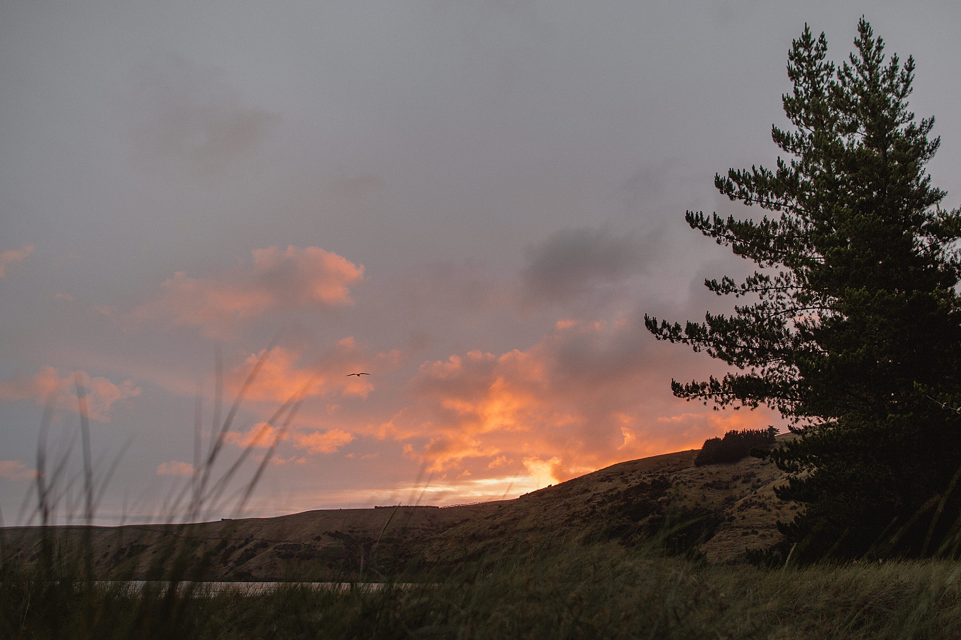 family-roadtrip-neuseeland-travelnewzealand-danielzube_0493.jpg