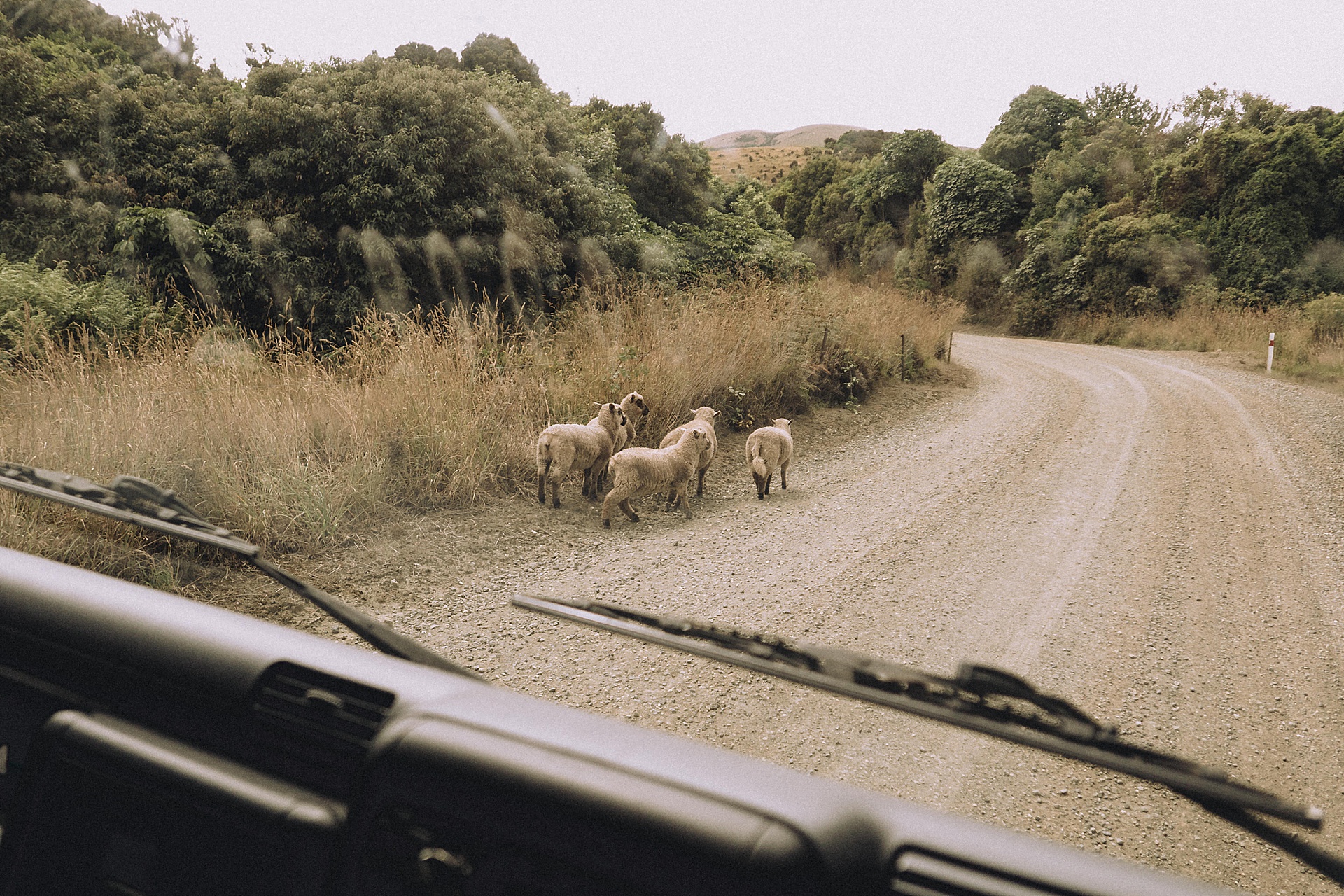 family-roadtrip-neuseeland-travelnewzealand-danielzube_0528.jpg