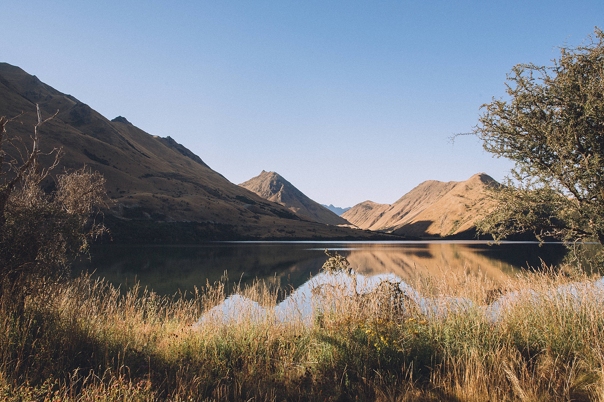 family-roadtrip-neuseeland-travelnewzealand-danielzube_0529.jpg