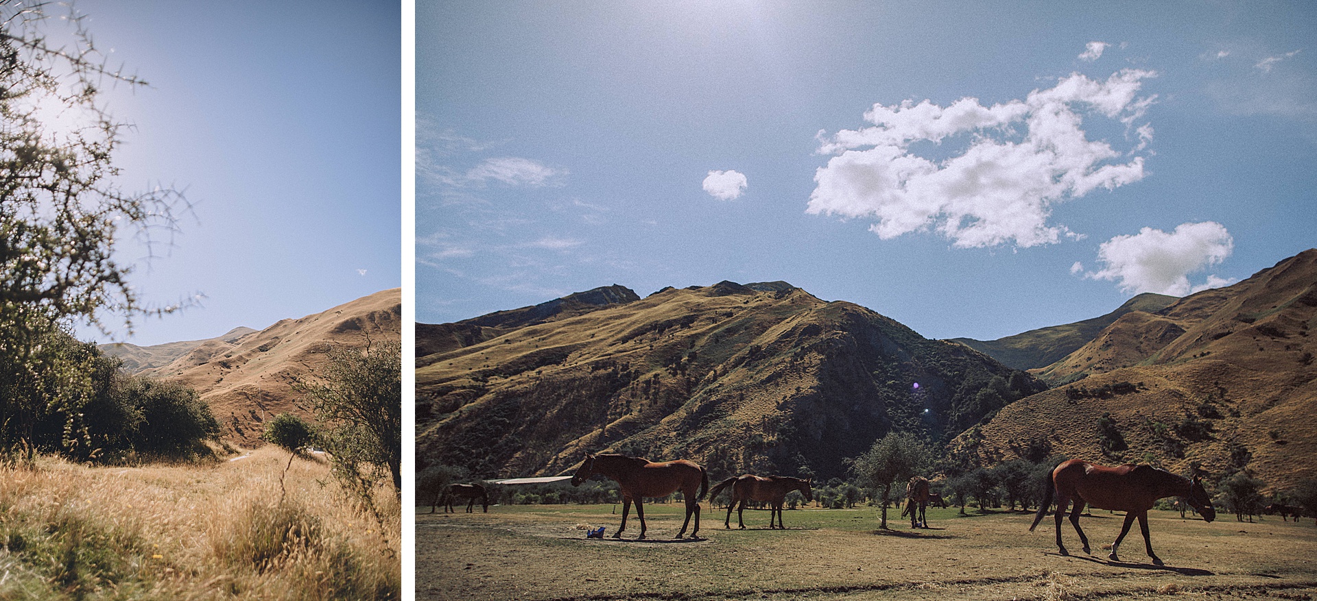 family-roadtrip-neuseeland-travelnewzealand-danielzube_0534.jpg