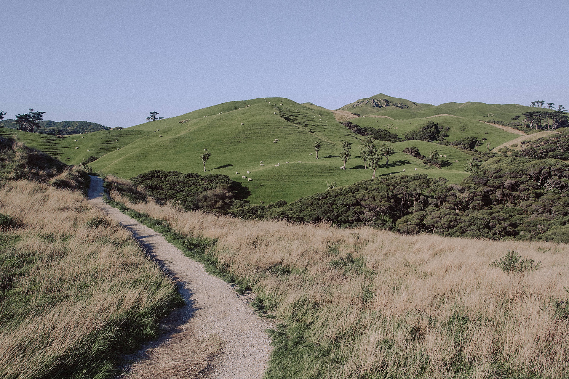 family-roadtrip-neuseeland-travelnewzealand-danielzube_0568.jpg