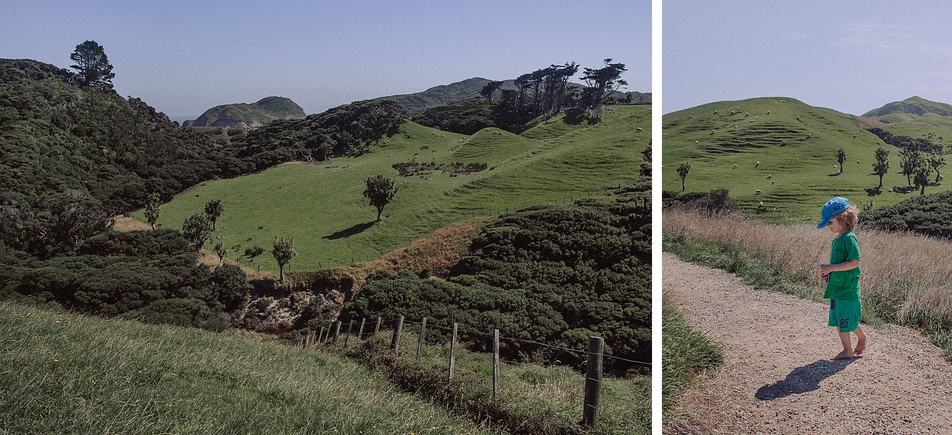 family-roadtrip-neuseeland-travelnewzealand-danielzube_0581.jpg