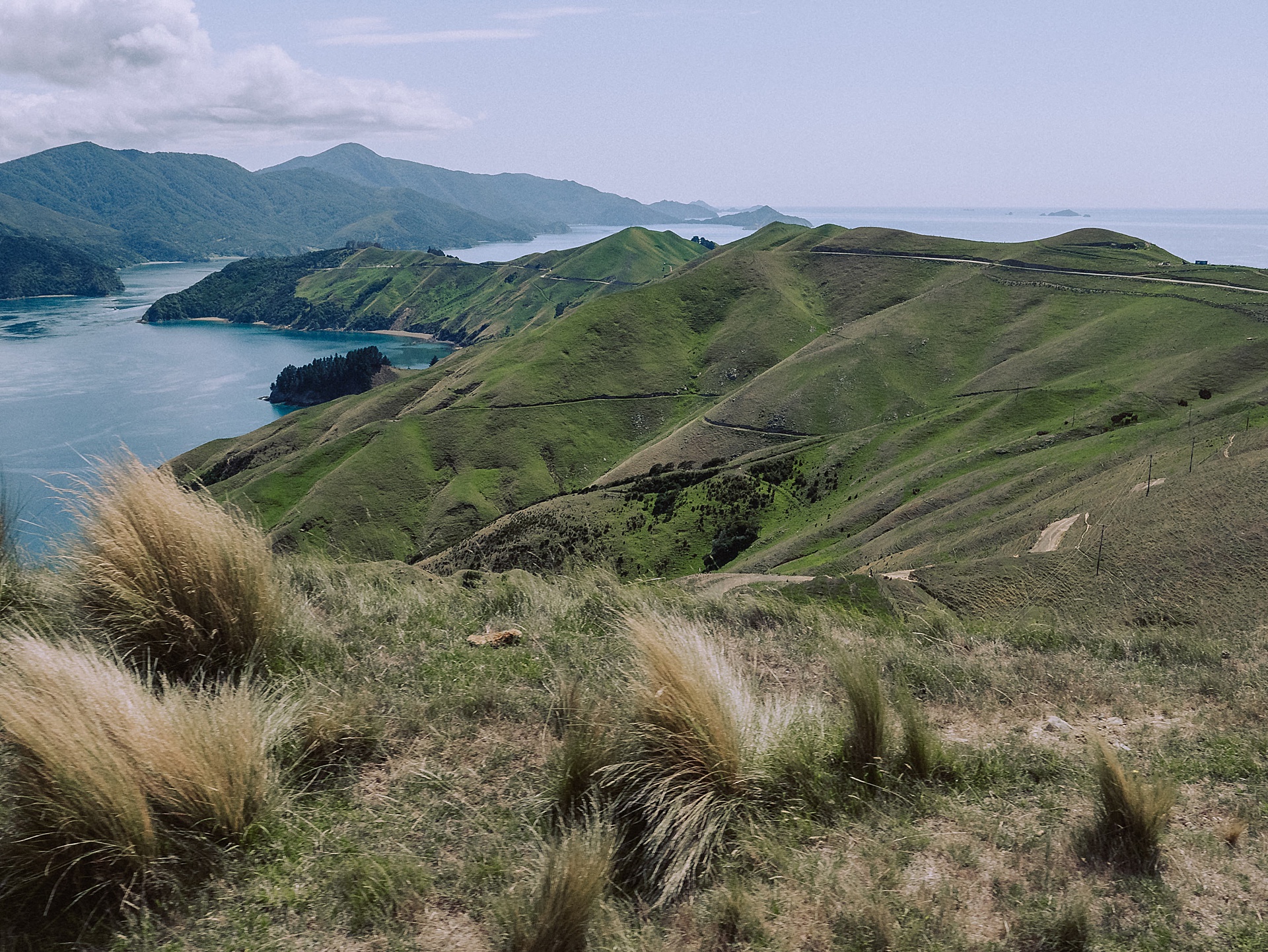 family-roadtrip-neuseeland-travelnewzealand-danielzube_0660.jpg