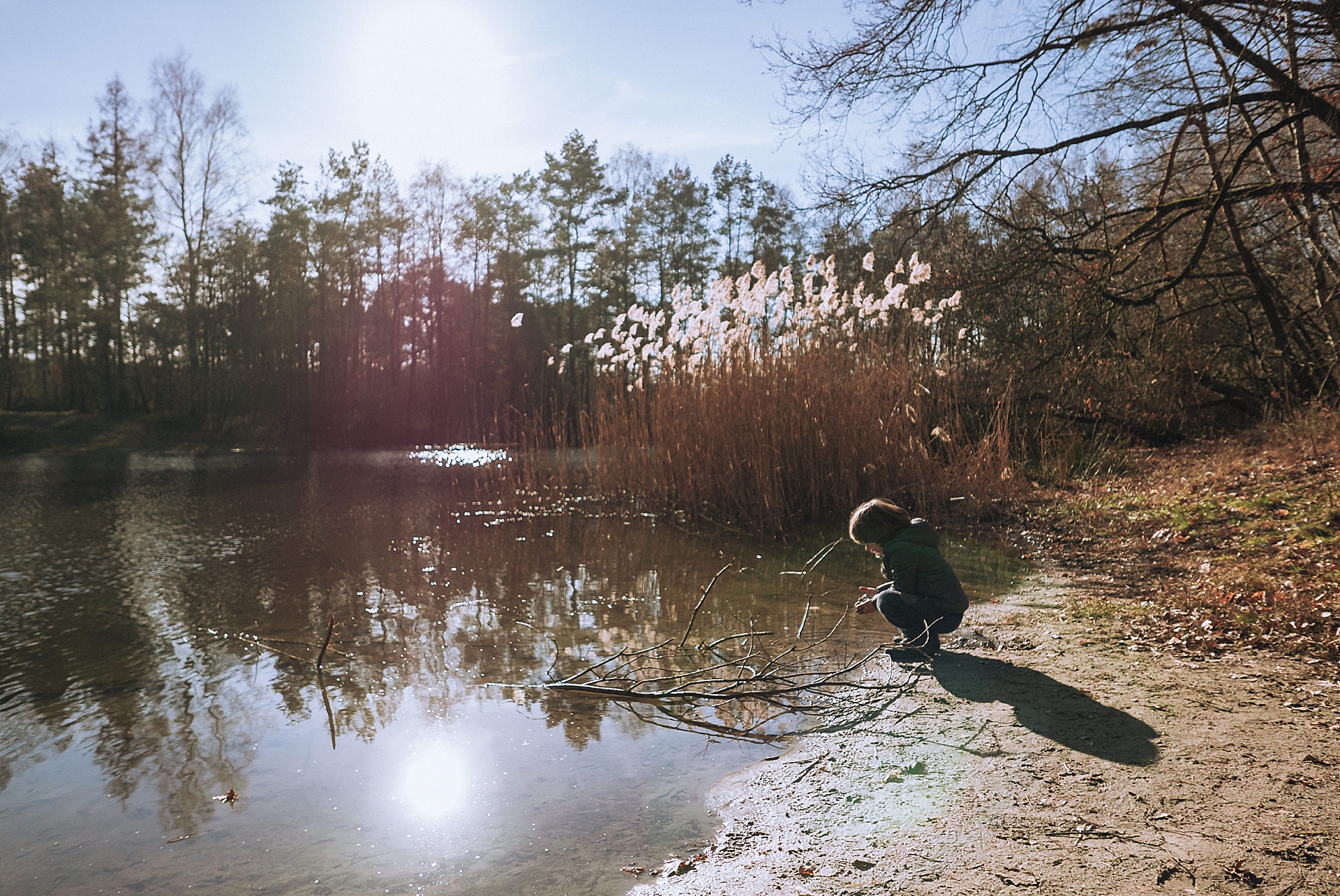 Sonnenstrahlen am Stöckser See