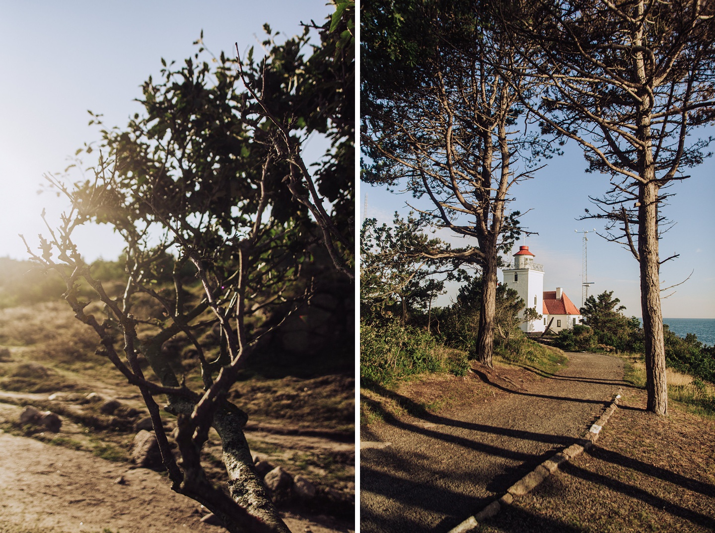 Familienzeit am Meer, Camping auf Bornholm, Familienfotos, Daniel Zube