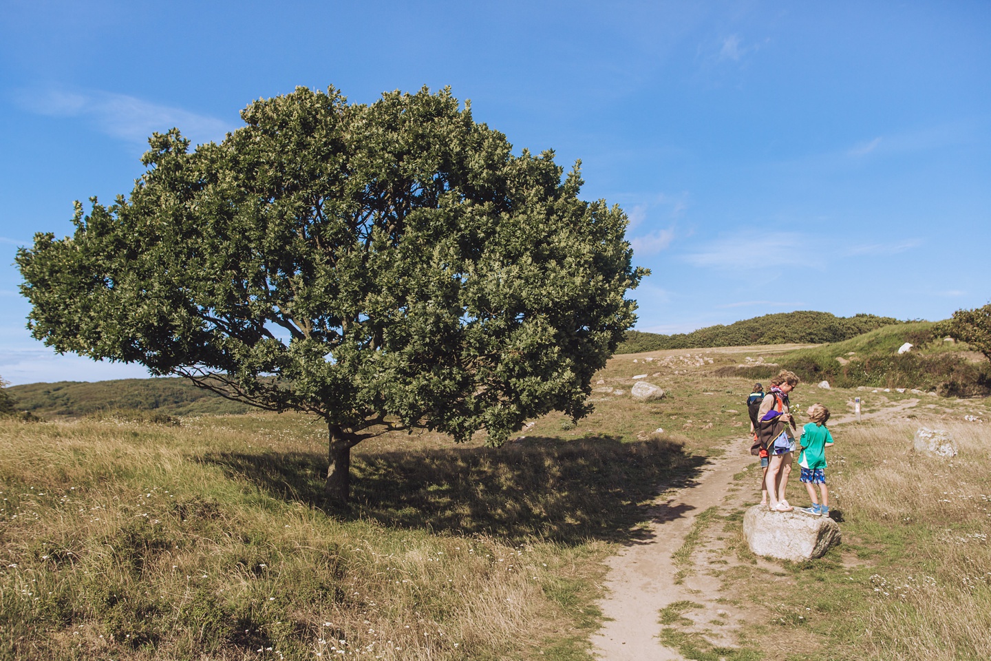 Familienzeit am Meer, Camping auf Bornholm, Familienfotos, Daniel Zube