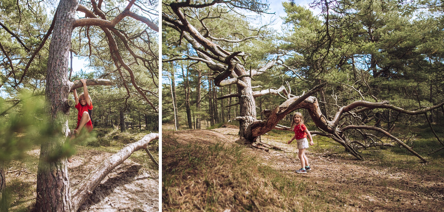 Familienzeit am Meer, Camping auf Bornholm, Familienfotos, Daniel Zube